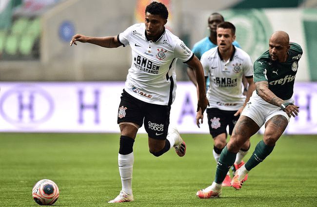 员形成了鲜 员形成了鲜